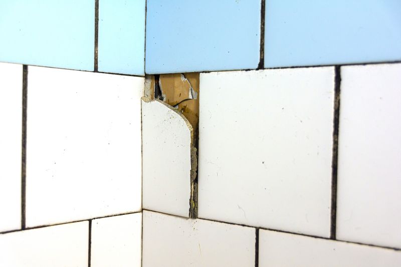 Chipped Tile Repair